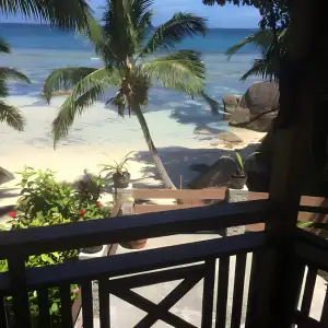 RoseHarryCove